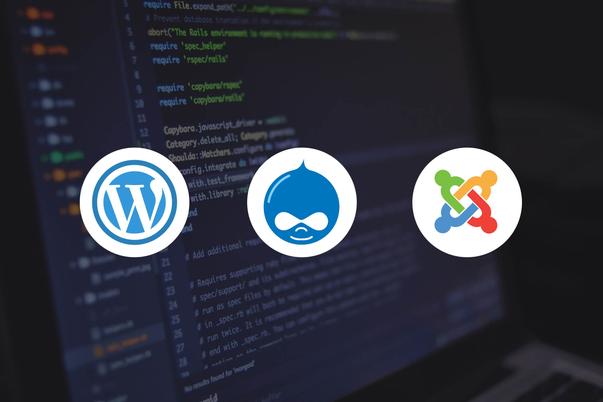CMS based Websites